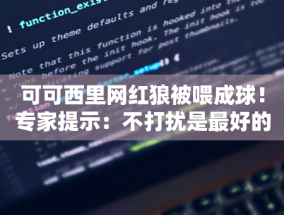 大连英博 VS 上海嘉定汇龙：中甲冲超生死战即将打响，大连队能否破解铁桶阵？