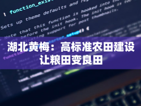 儿童网红现象引发社会热议：是追逐梦想还是过早涉足成人世界？