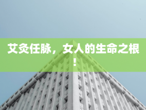 曼联挖角葡体主帅阿莫林，支付 1000 万解约金